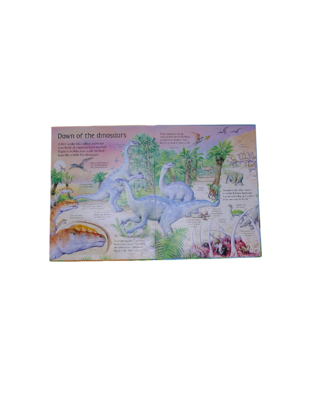 Zubaida's Book: See Inside the World of Dinosaurs - Zubaidas Official™