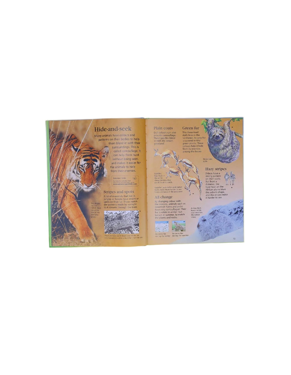 Zubaida's Book: First Encyclopedia of Animals - Zubaidas Official™