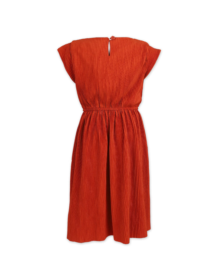 Zubaida's Graceful Pleated Flowing Dress - Zubaidas Official™