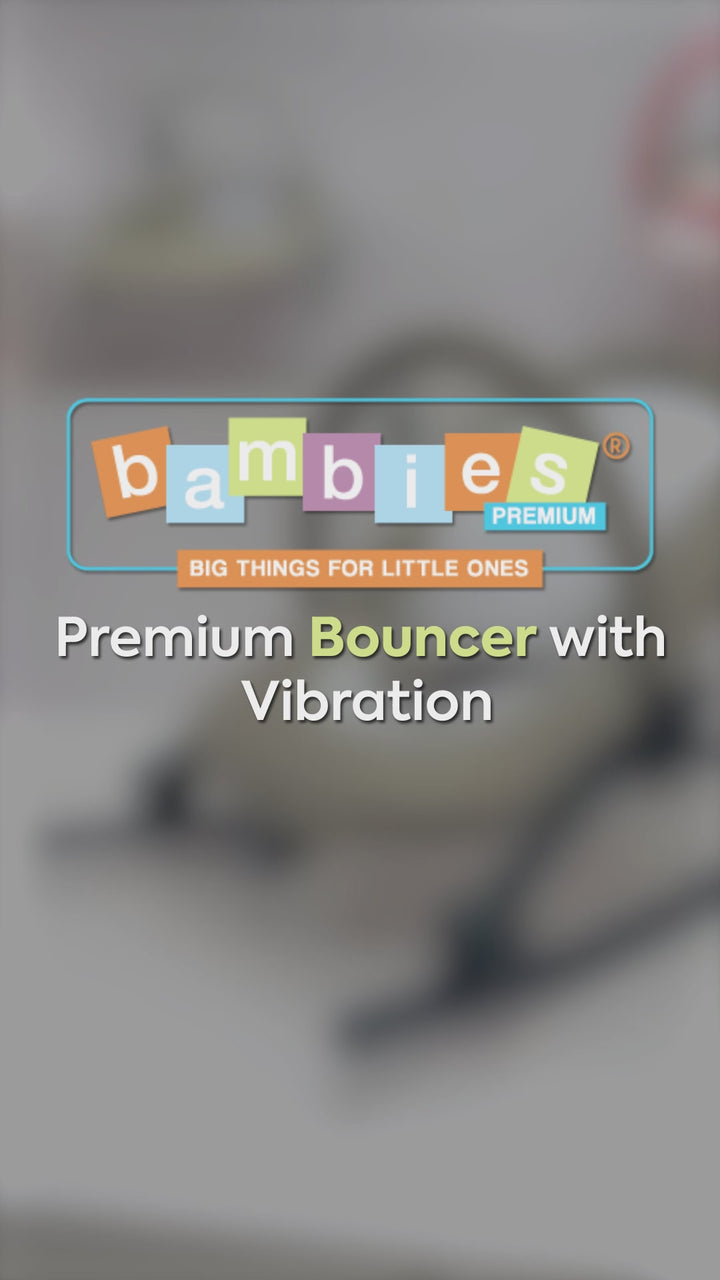 Zubaida's Bambies Baby Bouncer & Rocker with Vibrations