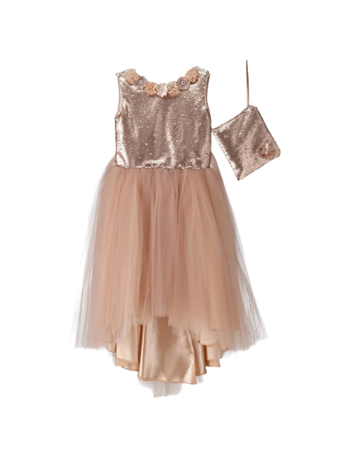 Fancy Dress Beige for Girls