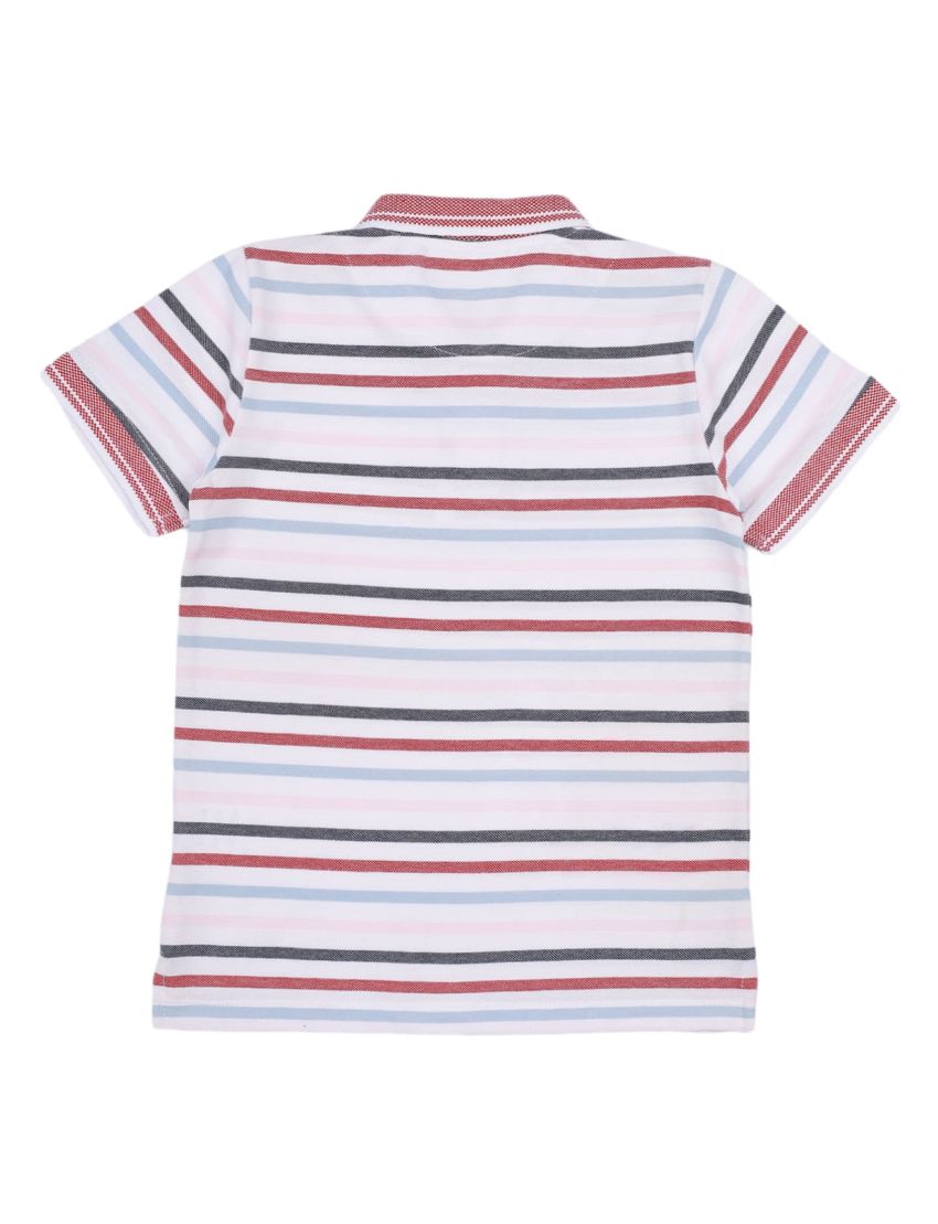 Polo Shirt Multi Color Stripes for Boys