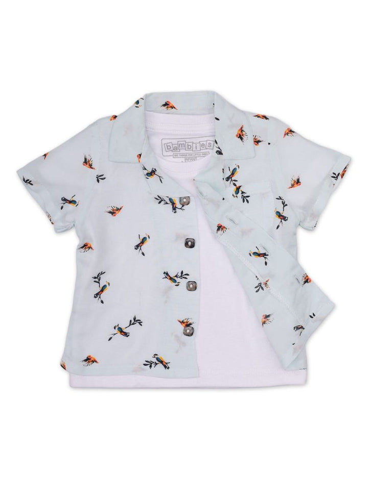 Shirt Plain Tee for Boys - Birds Theme - Toddler