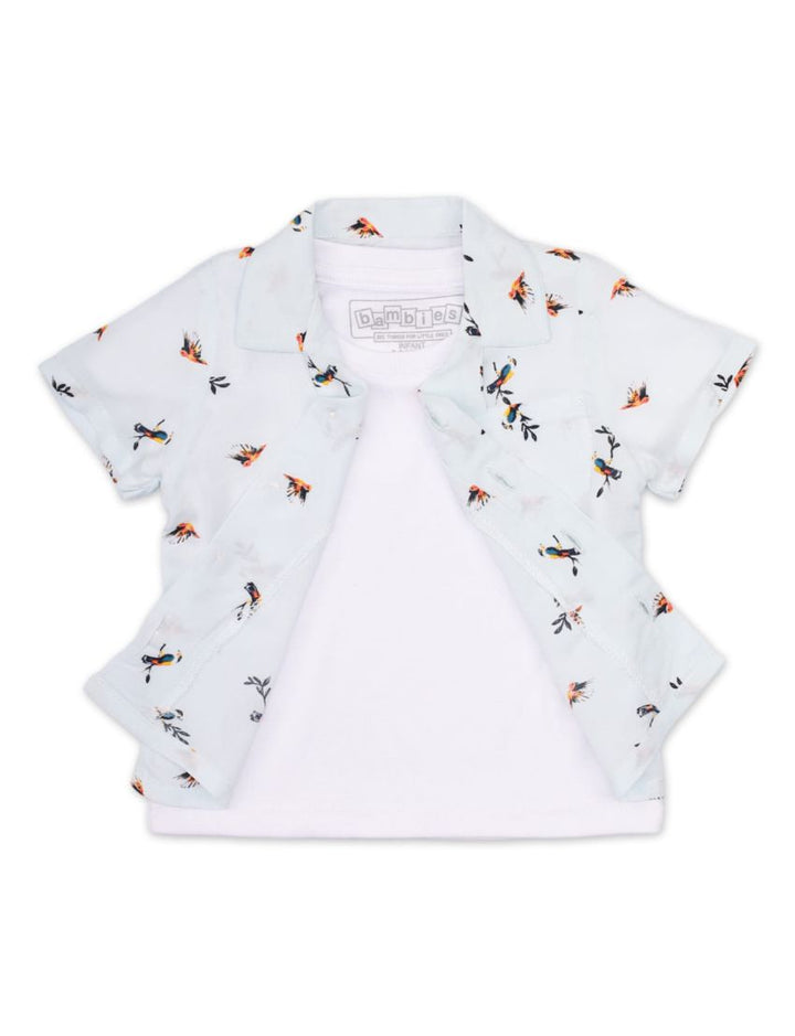 Shirt Plain Tee for Boys - Birds Theme - Toddler