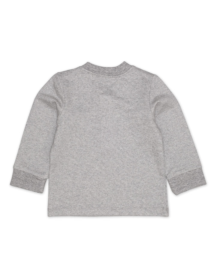 T Shirt Long Sleeves Grey Toddler Boys