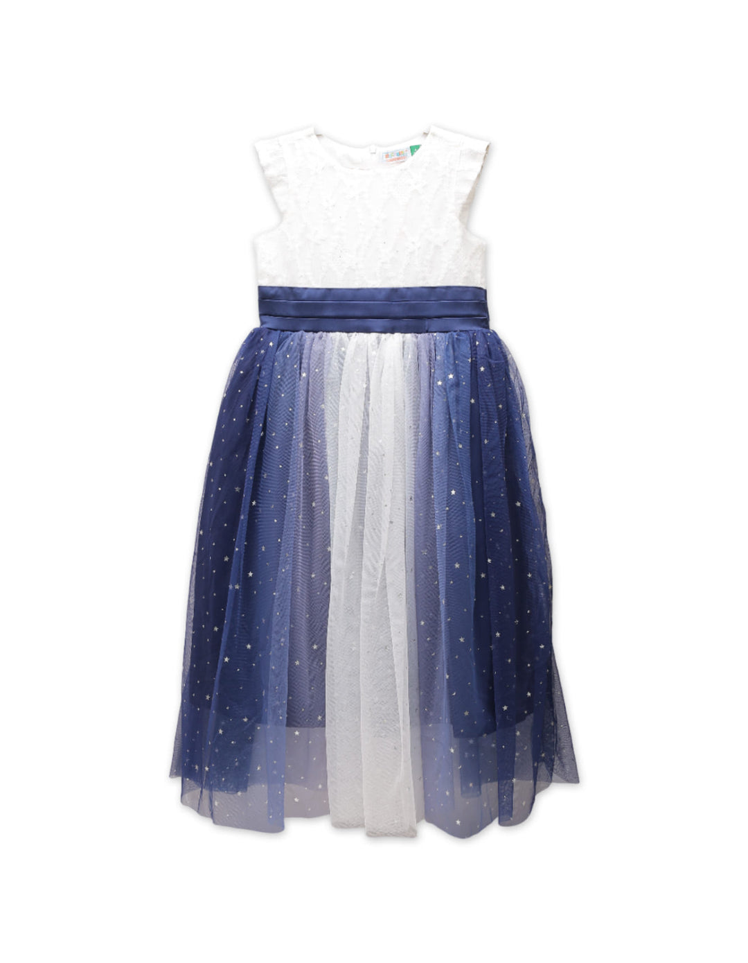 Zubaida's Shimmery Sleeveless Party Dress - Zubaidas Official™