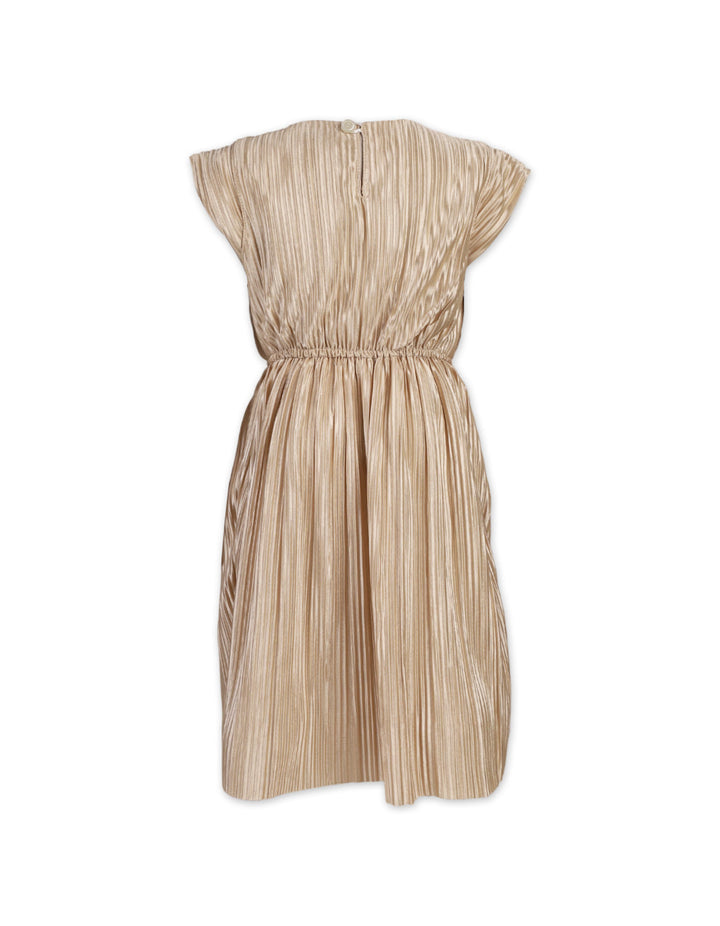 Zubaida's Graceful Pleated Flowing Dress - Zubaidas Official™
