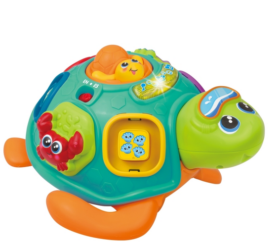 Zubaida's Winfun Pull Along Turtle - 240301