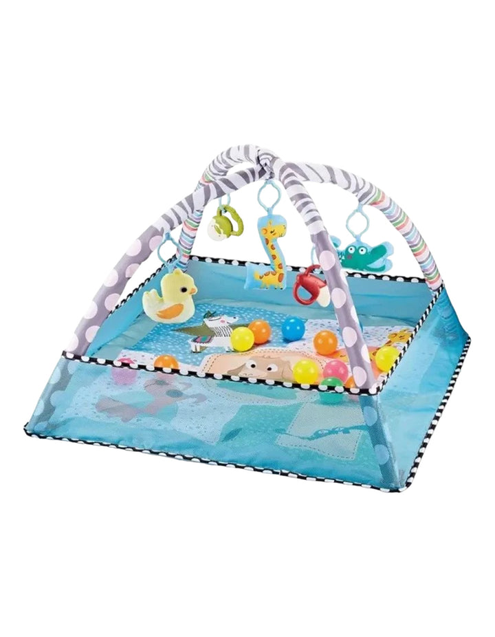 Fisher Price Activity Play Gym Blue DB-99881