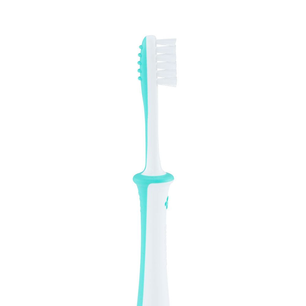 Zubaida's Pigeon Training Toothbrush Lesson 4 Mint - K79783 - Zubaidas Official™