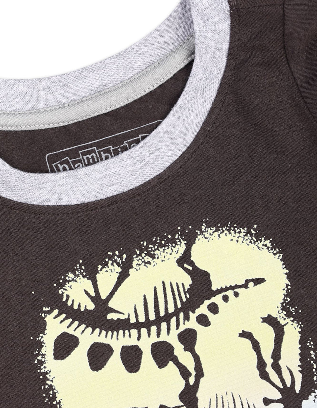 Dinosaur T-Shirt at Zubaidas Official™