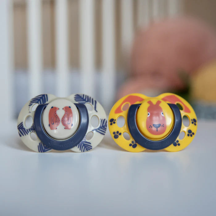 Tommee Tippee Night Time Soother for Baby Pack of 2 TT 433403 at Zubaidas Official™ Pakistan