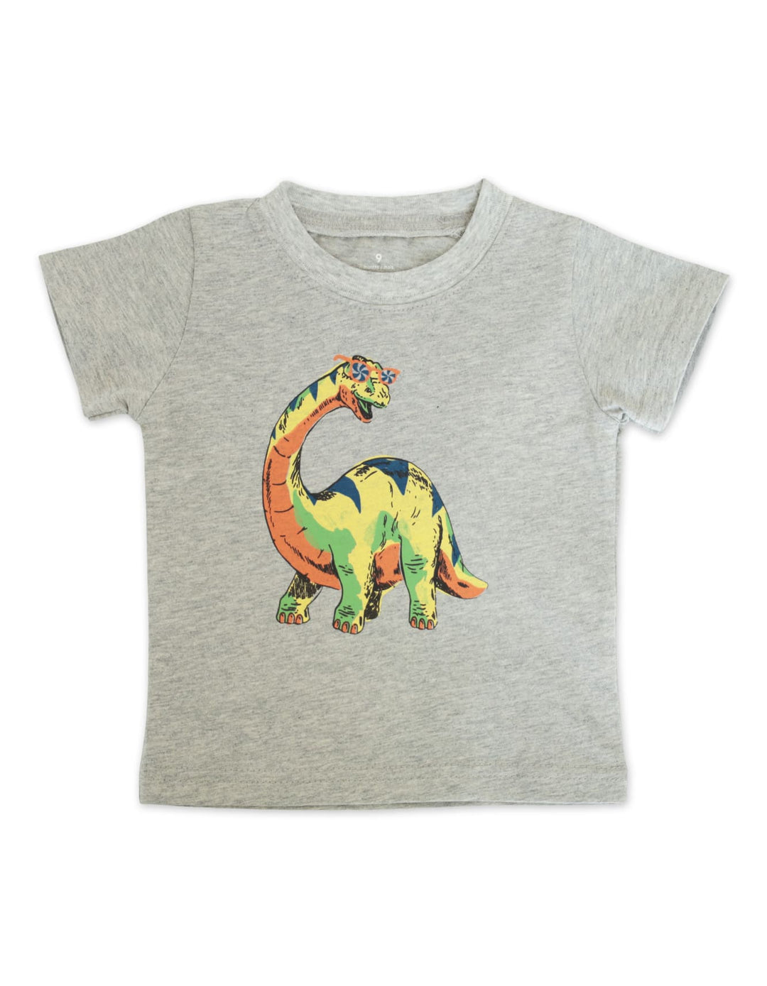 Baby Boy Summer 2 Pcs Suit Set Dinosaur Print at Zubaidas Official Pakistan