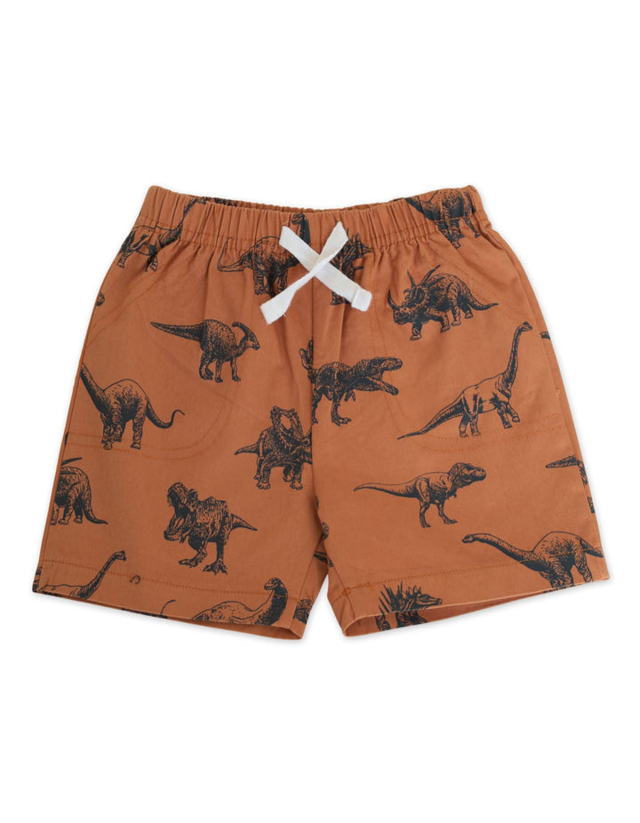 Baby Boy Summer 2 Pcs Suit Set Dinosaur Print at Zubaidas Best Online Baby and Kids Shop in Pakistan