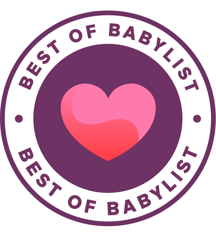 Baby Brezza One Step Baby Food Maker Deluxe BRZ00141 at Zubaidas Pakistan - Best of Babylist Award