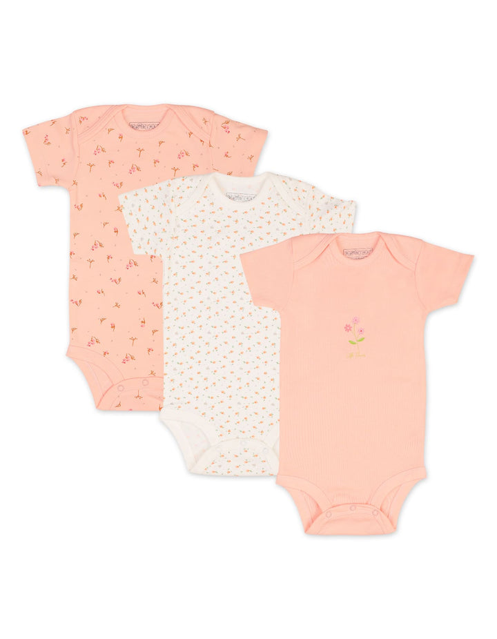 Baby Girls Bodysuit Pack of 3 Bambies Peach Floral at Zubaidas