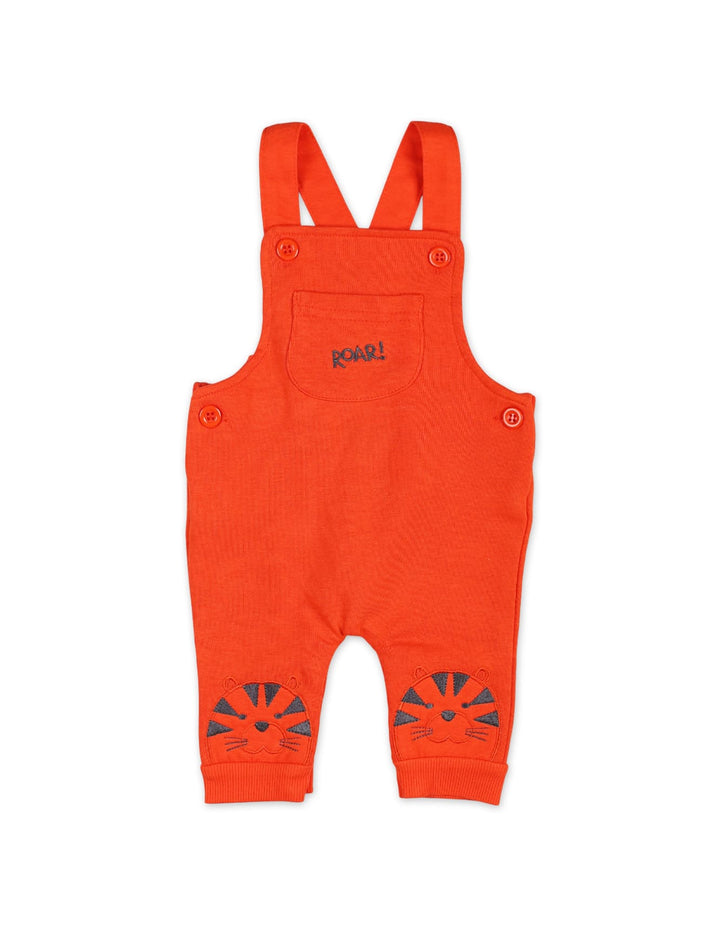 Boys 2 Pieces Dungaree Winter Suit Sets Bambies at Zubaidas Official Pakistan 