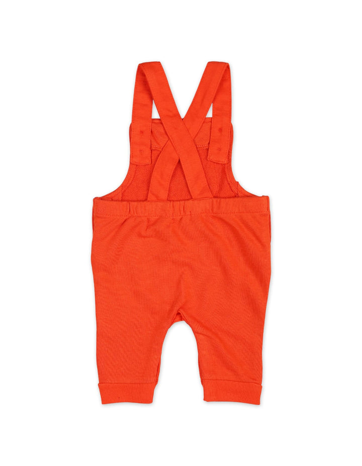 Dungaree Winter Suit Sets Bambies Tiger Design Orange Grey at Zubaidas - Pakistan’s No 1 and most trusted baby and kids store serving Pakistani Parents for over 50 years