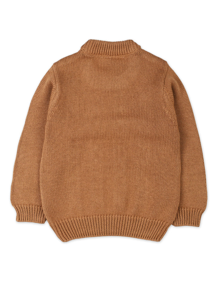 Infant Baby Boys Sweaters Bambies Brown at Zubaidas Official