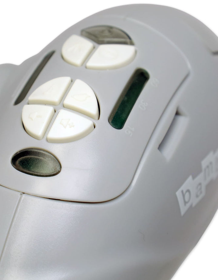 Infant Foldable Swings Bambies Blue BM-SW-003 at Zubaidas