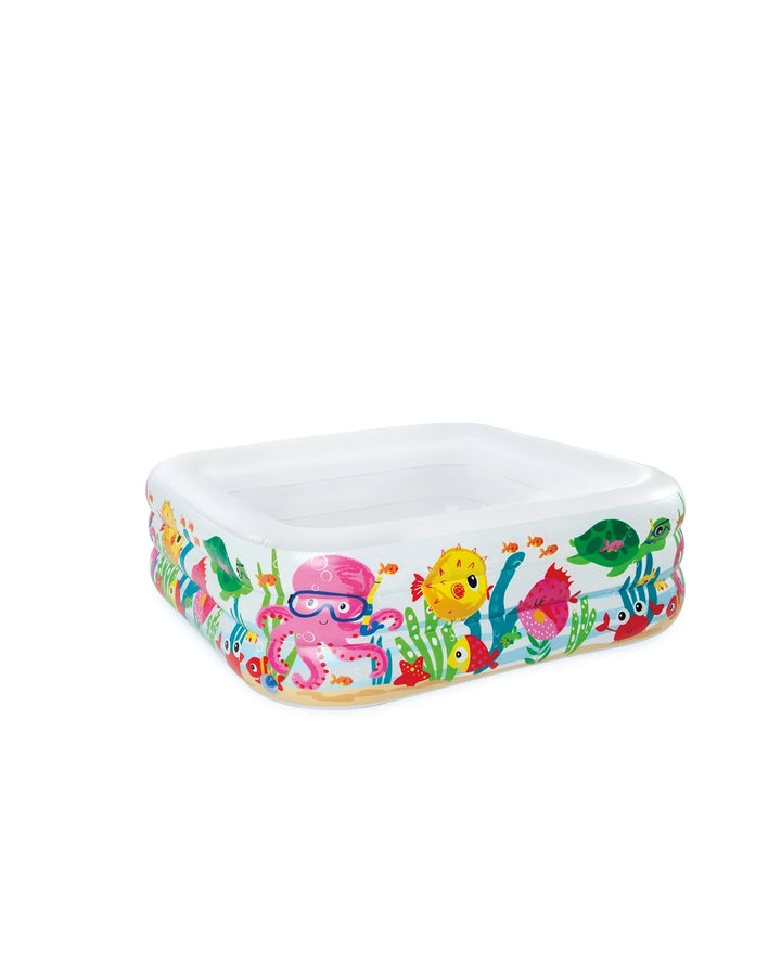 INTEX Sea Aquarium Inflatable Pool 62in x 62in x 19in at Zubaidas Official Pakistan