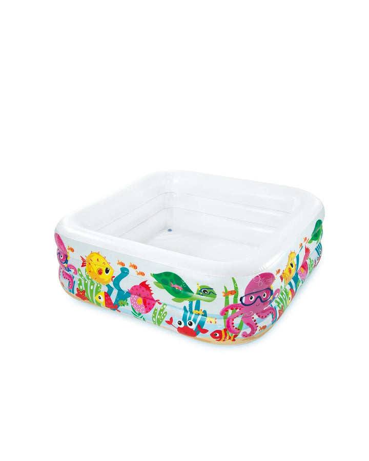 INTEX Sea Aquarium Inflatable Pool 62in x 62in x 19in at Zubaidas