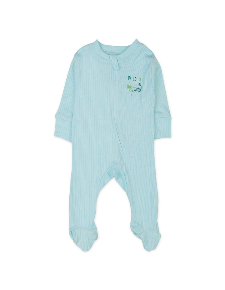 Newborn Gift Set 6 Pieces Light Green at Zubaidas Online Pakistan