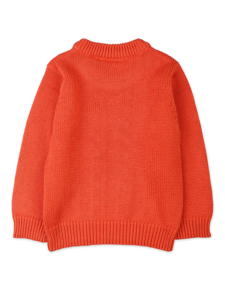 Newborn Winter Sweaters Bambies Cable Knit Orange at Zubaidas Pakistan