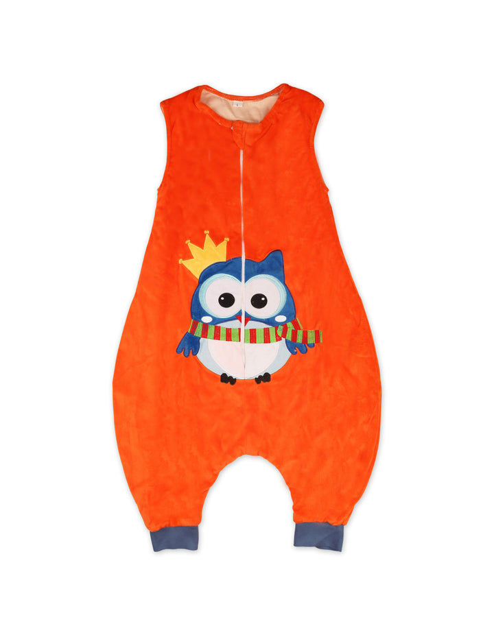 Toddler Boys and Girls Wearable Plush Blanket Sleeping Bag Owl at Zubaidas