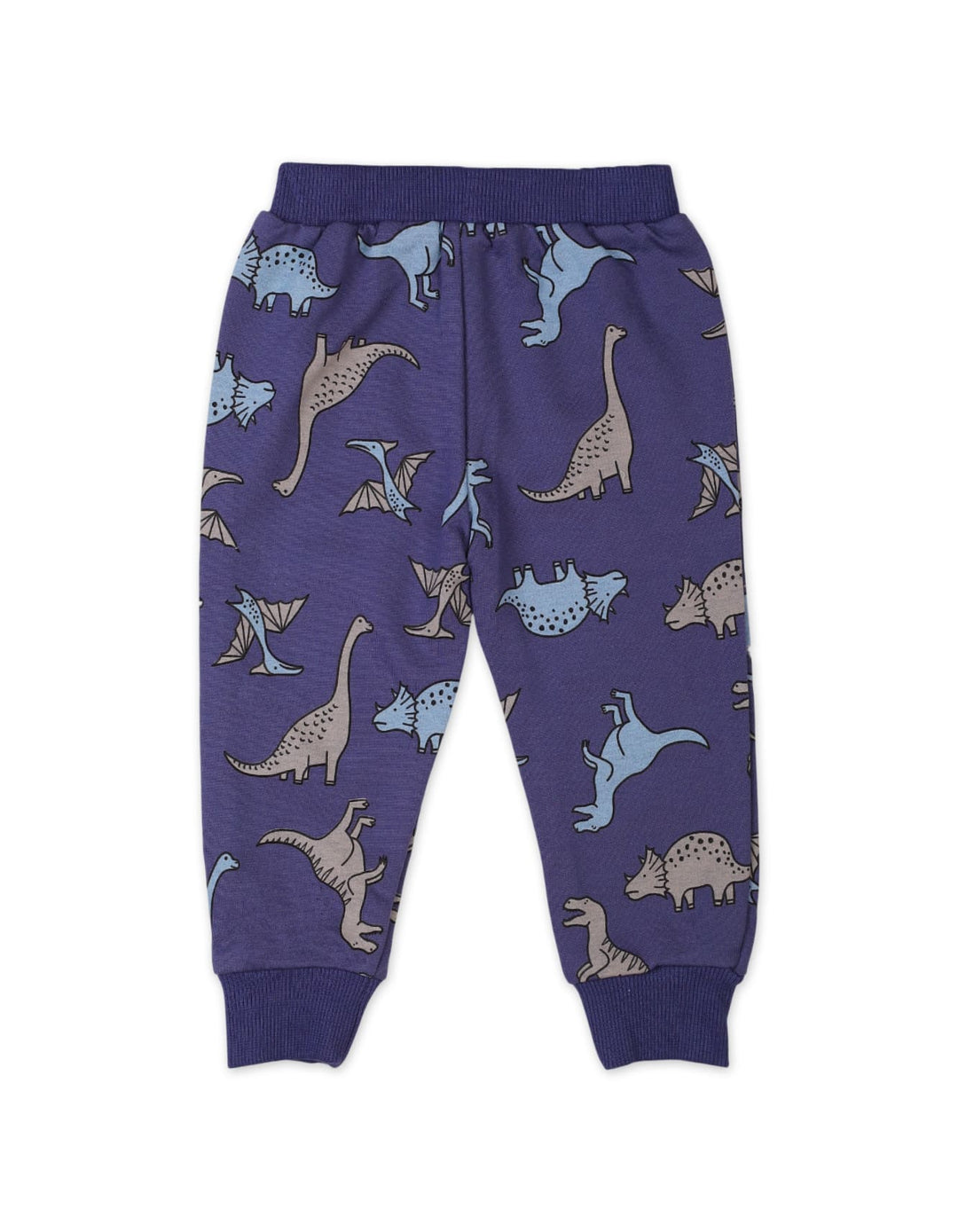 Toddler Boys Winter Wear Sets Blue Bambies Hoodie and Pants at Zubaidas Online Store Pakistan