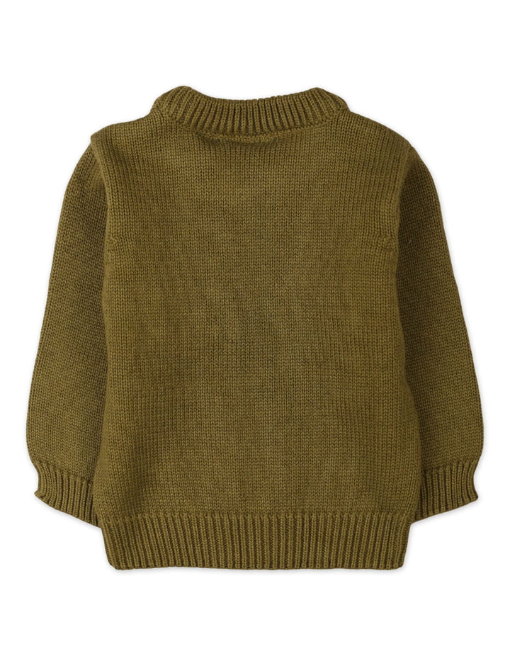 Warm Baby Winter Pullovers Bambies Cable Knit Olive Green at Zubaidas Offical Pakistan