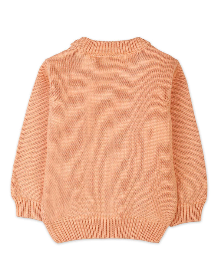 Warm Baby Winter Pullovers Bambies Cable Knit Peach at Zubaidas Offical Pakistan