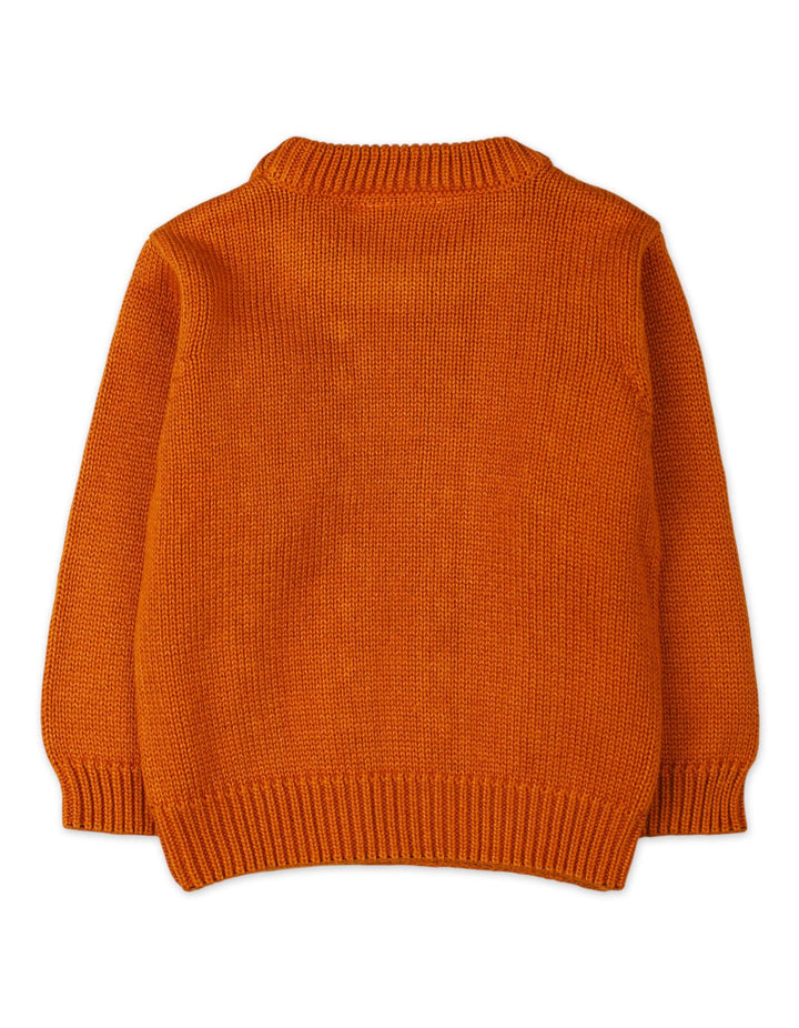 Warm Baby Winter Pullovers Bambies Cable Knit Rust at Zubaidas Offical Pakistan
