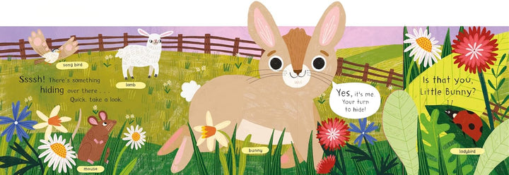 Where is Little Bunny? The Lift-The-Flap with a Pop-Up Ending! Board Book at Zubaidas Best Online Baby and Kids Store in Pakistan